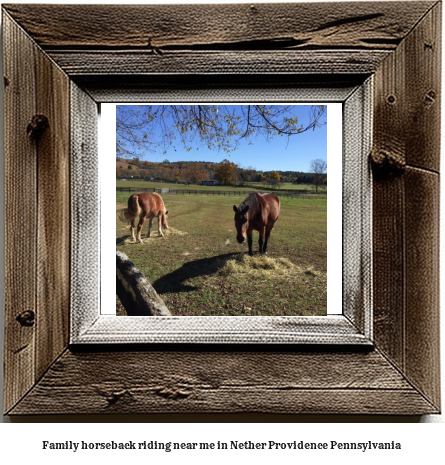 family horseback riding near me in Nether Providence, Pennsylvania